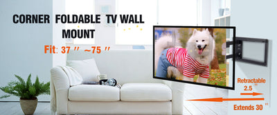 How to choose a TV mount?